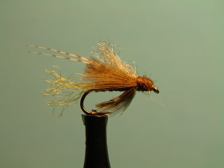 CDC Caddis Emergent Olive (16-18)